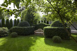 В Киеве появятся монохромные сады