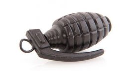 На Майдане обнаружили неразорвавшуюся гранату