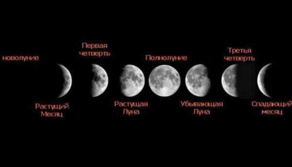 Диета оборотня поможет сбросить за сутки до 3 кг (ФОТО)