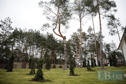 Экскурсия по усадьбе Захарченко (ФОТО)