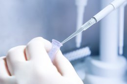 В США могут разрешить генетически модифицировать детей