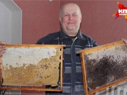 Родня Януковича готова приютить его в Кузбассе
