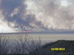 На юге Украины горят заповедники. Тушить пожар никто не спешит (ВИДЕО)