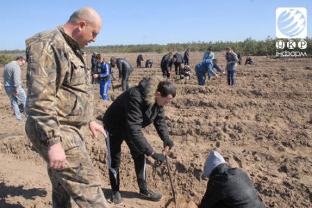 Под Николаевом создан живой памятник Небесной сотне (ФОТО)