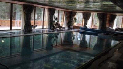 Что не понравилось туристам на даче Виктора Медведчука (ФОТО)