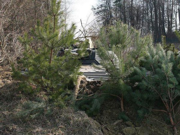 Украинские военные до автоматизма оттачивают теоретические и практические навыки (ФОТО)