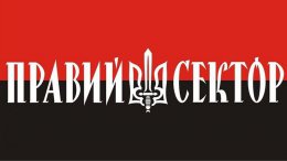 Действия «Правого сектора» не приблизят Украину к Европе