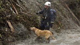 Количество жертв оползня в Вашингтоне составляет 24 человека