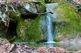 В Крыму сделали бесплатным посещение заповедников