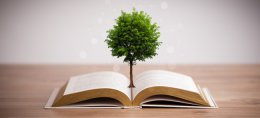 Генетики вывели новый сорт деревьев для изготовления бумаги и биотоплива