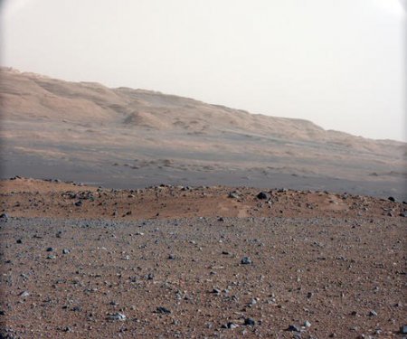 Майк Томас: «NASA могло обмануть всех нас» (ФОТО)