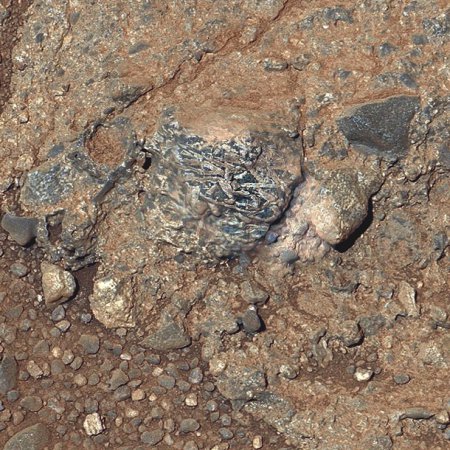 Майк Томас: «NASA могло обмануть всех нас» (ФОТО)