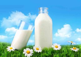 О пользе и вреде молока