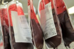 Ученые проведут клинические испытания искусственной крови