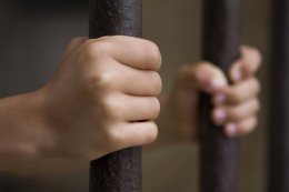 В Австрии арестовали самого глупого преступника