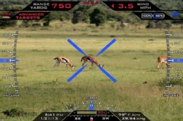 США приобрели для испытаний шесть интеллектуальных снайперских винтовок (ФОТО)