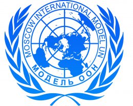 В ООН обеспокоены качеством борьбы с ксенофобией в Украине