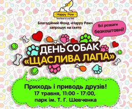 17 мая состоится фестиваль День собак «Счастливая лапа»