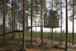 В шведском лесу появился отель-невидимка (ФОТО)