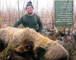 На Аляске застрелен самый крупный медведь в истории На Аляске застрелен самый крупный медведь в истории