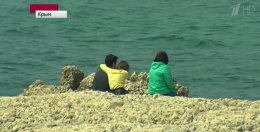 Российские СМИ попытались показать наплыв туристов в Крыму (ВИДЕО)