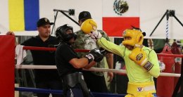 Ломаченко готовится к бою с Расселлом (ВИДЕО)