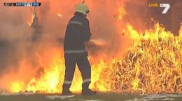 Болгарские болельщики подожгли свой собственный сектор (ВИДЕО)