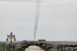 Португальскую деревню накрыло облако саранчи