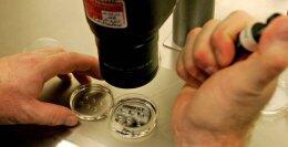 Генетические гаремы становятся реальностью