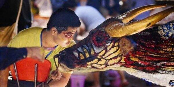 Боди-арт на буйволах в Китае (ФОТО)