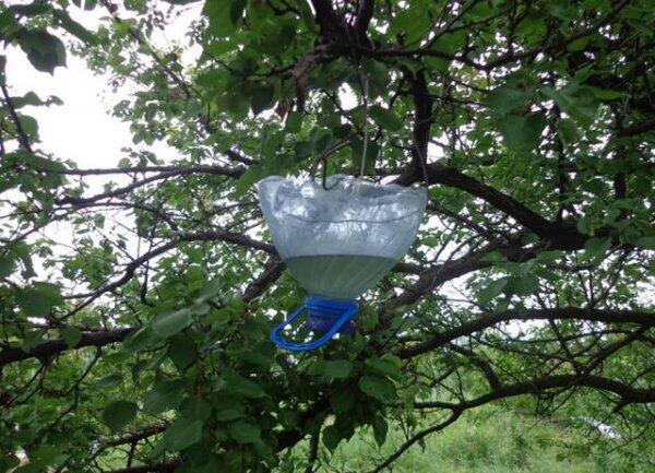 Активисты в трудных условиях обеспечили подачу воды украинским бойцам (ФОТО)