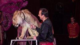 Городской совет Мехико запретил использование животных в цирковых представлениях