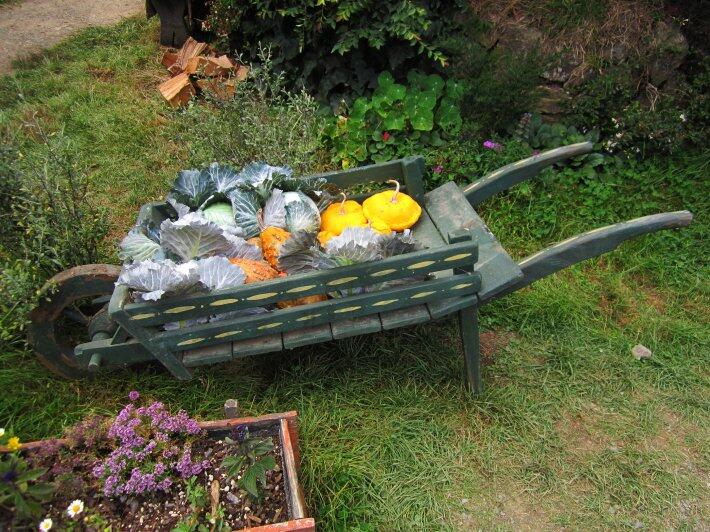 Добро пожаловать в «страну хоббитов» (ФОТО)