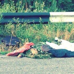 В Счастье тела террористов, которые погибли во время боев, до сих пор лежат прямо на дороге