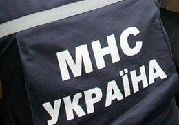 Столичные спасатели сняли экстремала с 20-метрового громоотвода