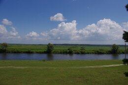 На Черниговщине силовикам хотели отдать пастбище под дачи
