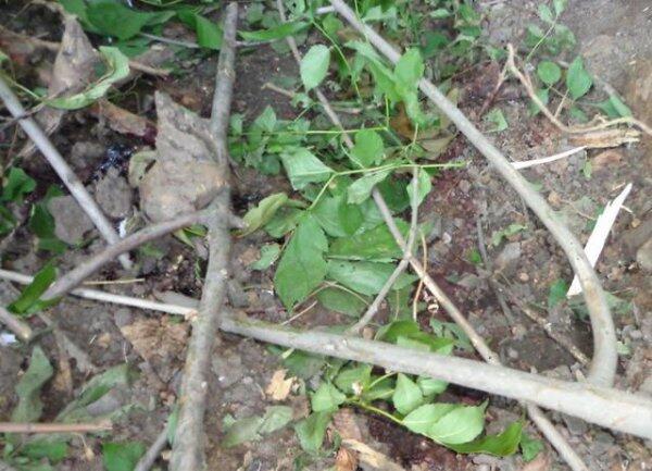 Уничтоженный блокпост №1 под Славянском: "Ребята успели выстрелить два раза" (ФОТО)