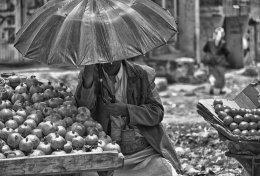 Экономист рассказал, как влияет уровень преступности на экономику в развивающихся странах