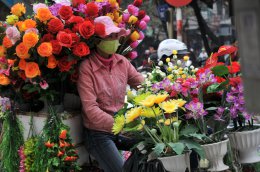 Открытие японских ученых поможет продлить цветение растений