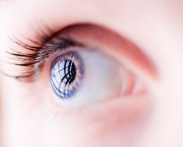 Использование стволовых клеток помогло восстановить поврежденную роговицу глаза