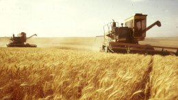 Агрономы попросили силовые структуры разминировать поля на Донбассе