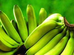 Ученый открыл уникальные свойства зеленых бананов