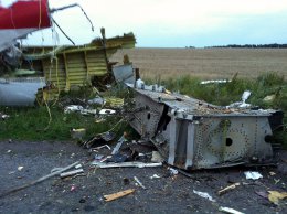 Первые кадры с места крушения сбитого Россией Боинга 777 (ВИДЕО)