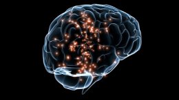 Ученые опровергли миф о том, что люди используют свой мозг лишь на 10%