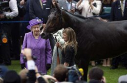 Елизавету II могут оштрафовать на $140 тыс. за найденный у ее лошади допинг