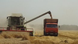 Урожай на Донбассе нужно собрать за одну неделю, - эксперт