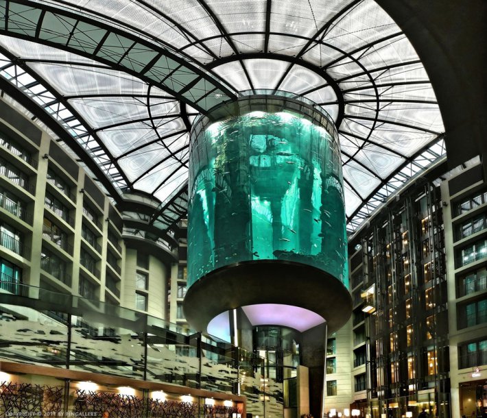 Самый большой в мире аквариум в отеле Radisson Blu (ФОТО)