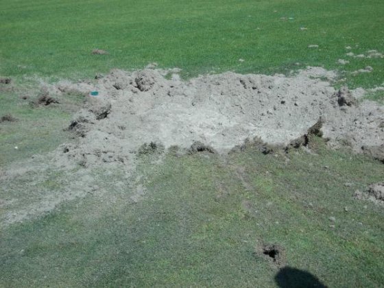 Луганские боевики обстреляли из минометов стадион "Авангард" (ФОТО) Луганские боевики обстреляли из минометов стадион "Авангард" (ФОТО)