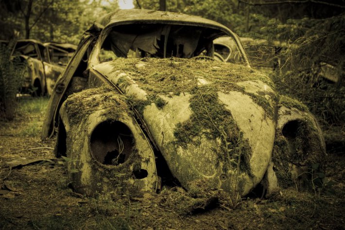 Кладбище старинных автомобилей в бельгийском лесу (ФОТО)