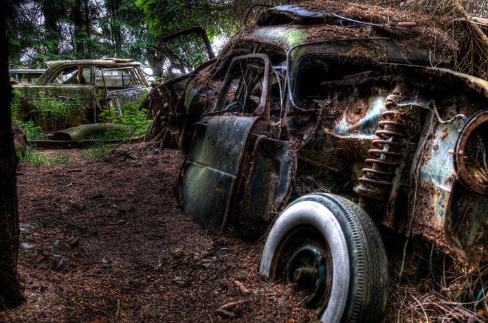 Кладбище старинных автомобилей в бельгийском лесу (ФОТО)